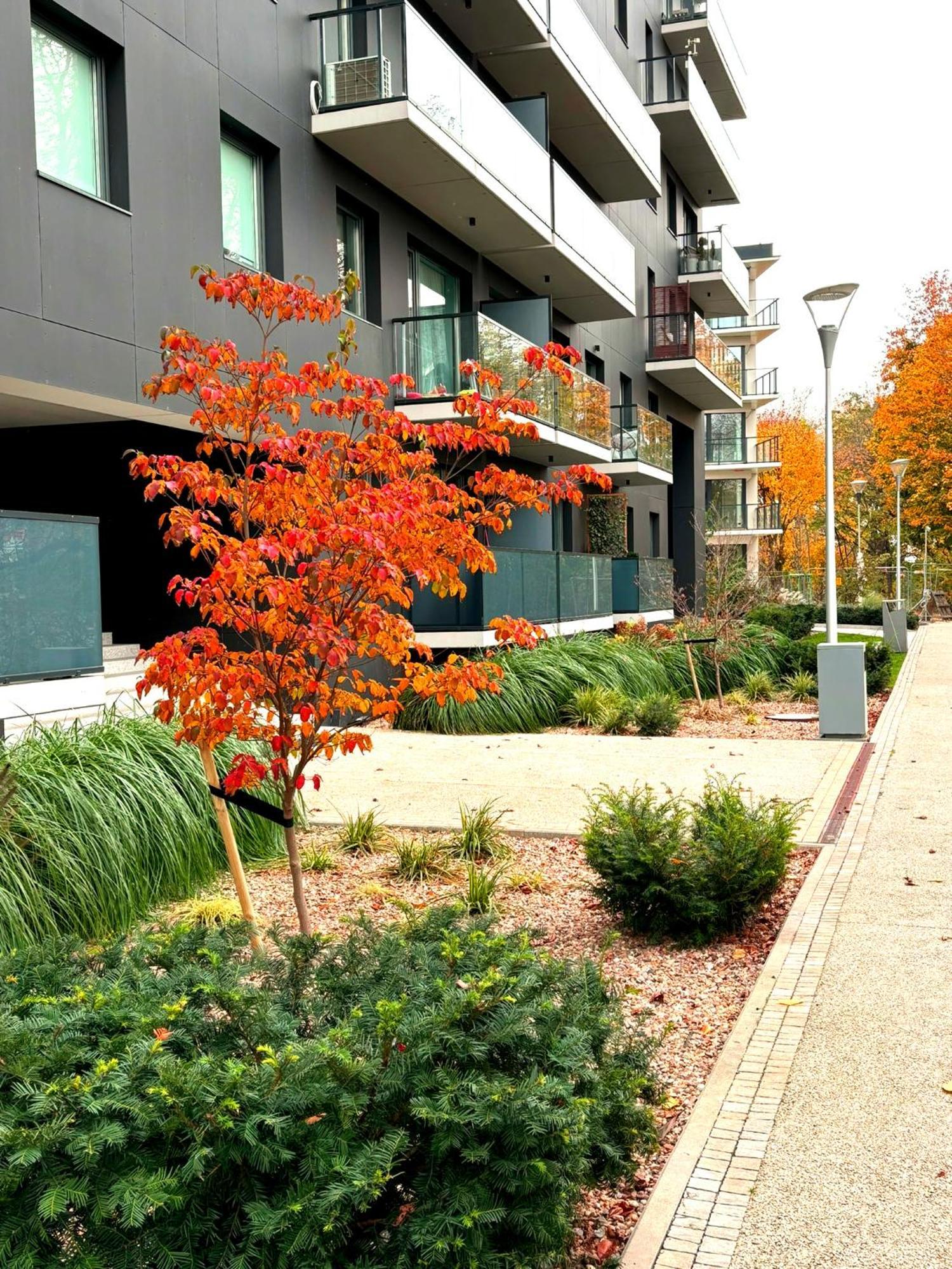 Prime Time Apartament - 24H Check -In - Parking W Cenie Wroclaw Bagian luar foto