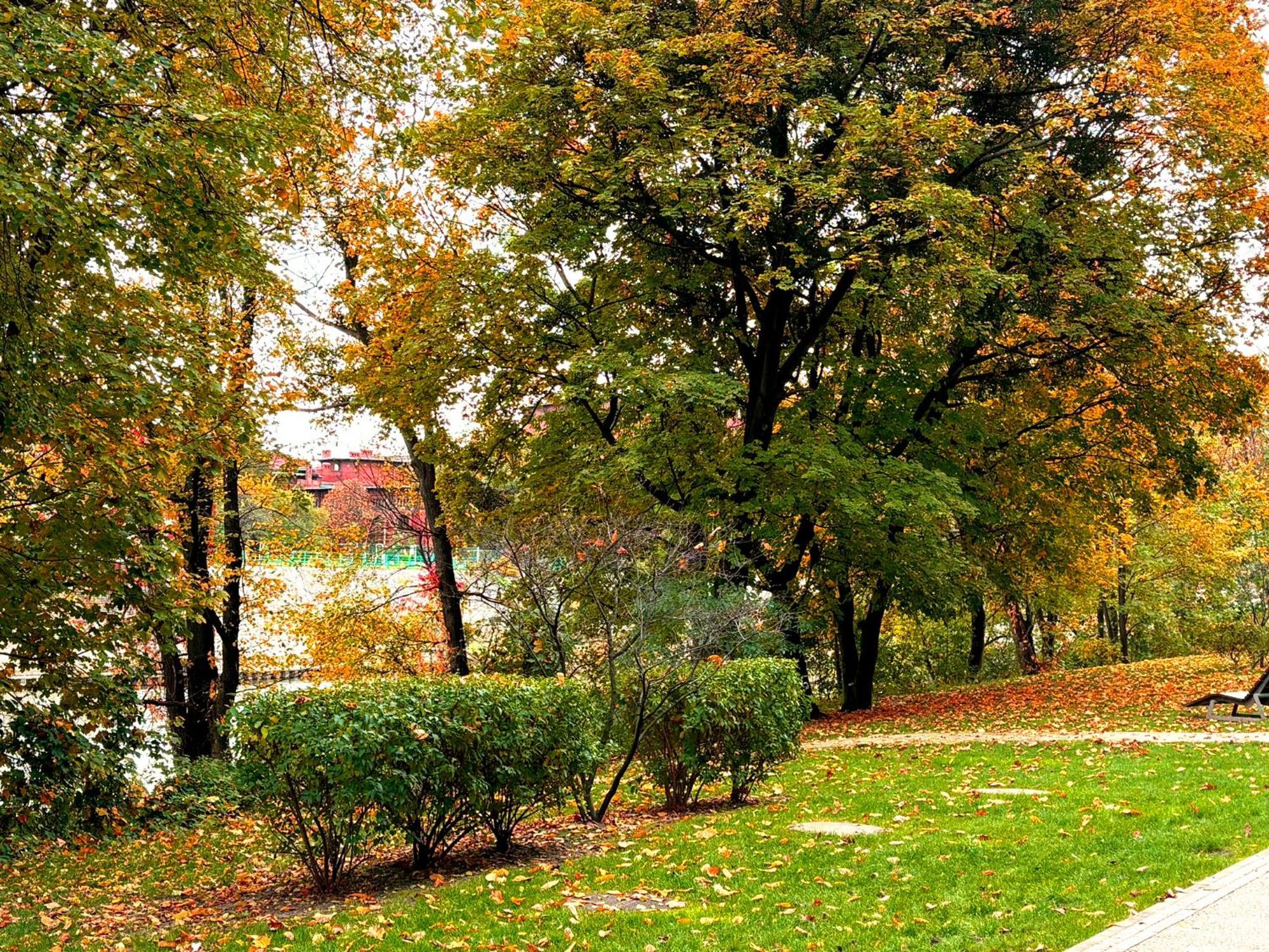 Prime Time Apartament - 24H Check -In - Parking W Cenie Wroclaw Bagian luar foto